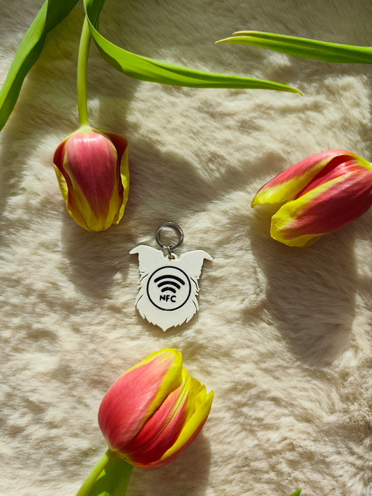 Znajdek "Border collie" - Interaktywna zawieszka NFC do obroży